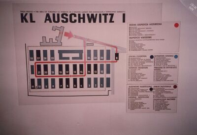 1987_Auschwitz_0001.jpg