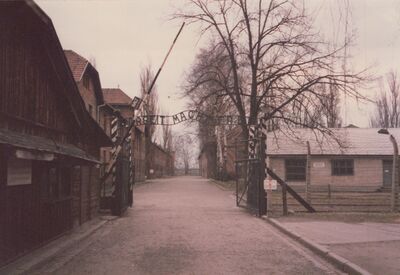 1987_Auschwitz_0003.jpg
