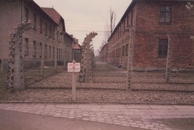 1987_Auschwitz_0018.jpg