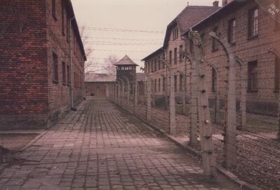 1987_Auschwitz_0021.jpg