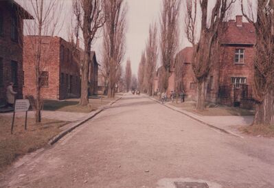 1987_Auschwitz_0022.jpg