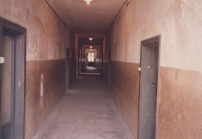 1987_Auschwitz_0029.jpg