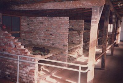 1987_Auschwitz_0036.jpg