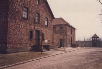 1987_Auschwitz_0037.jpg