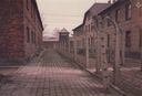 1987_Auschwitz_0021.jpg