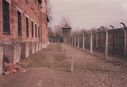 1987_Auschwitz_0030.jpg
