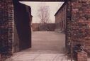 1987_Auschwitz_0033.jpg