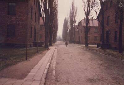 1987_Auschwitz_0042.jpg