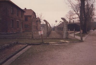 1987_Auschwitz_0043.jpg