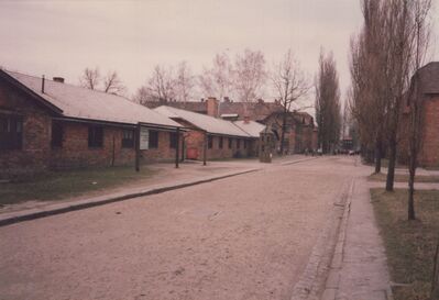 1987_Auschwitz_0047.jpg
