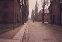 1987_Auschwitz_0042.jpg