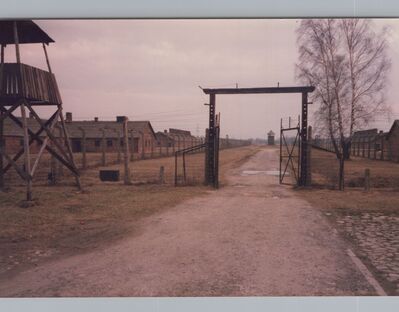 1987_Birkenau_0008.jpg