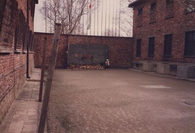 1987_Birkenau_0010.jpg