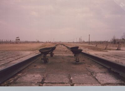 1987_Birkenau_0018.jpg