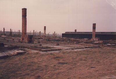 1987_Birkenau_0024.jpg