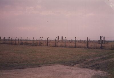 1987_Birkenau_0027.jpg