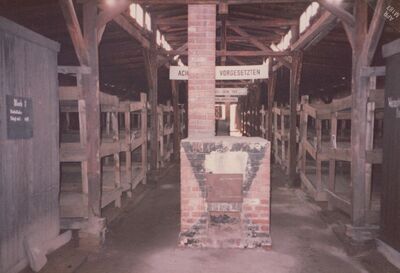 1987_Birkenau_0032.jpg