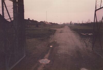 1987_Birkenau_0035.jpg