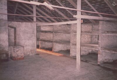 1987_Birkenau_0038.jpg