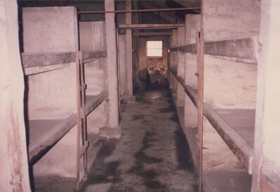 1987_Birkenau_0039.jpg
