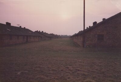 1987_Birkenau_0040.jpg