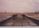 1987_Birkenau_0018.jpg
