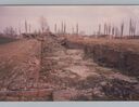 1987_Birkenau_0019.jpg