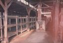 1987_Birkenau_0034.jpg