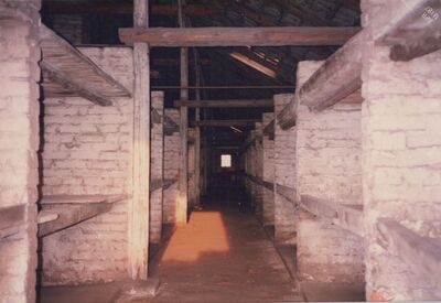 1987_Birkenau_0041.jpg