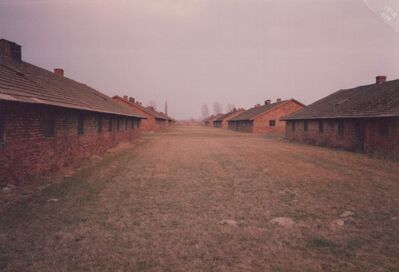 1987_Birkenau_0043.jpg