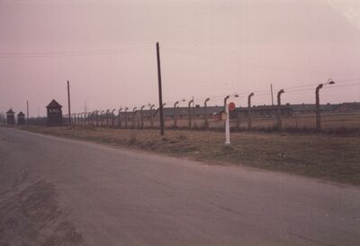 1987_Birkenau_0046.jpg