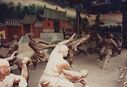 1995_Shaolin_0019.jpg