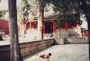 1995_Shaolin_0079.jpg
