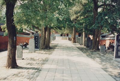 1995_Shaolin_0100.jpg