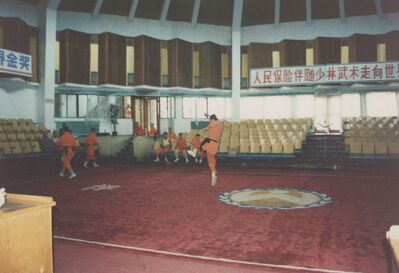 1995_Wushu_Guan_0031.jpg