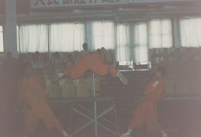 1995_Wushu_Guan_0044.jpg