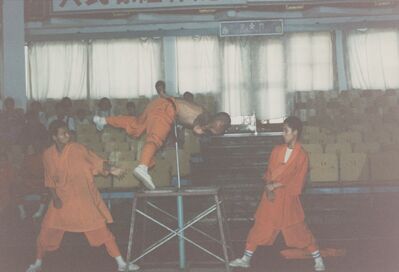 1995_Wushu_Guan_0045.jpg