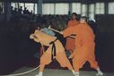 1995_Wushu_Guan_0040.jpg