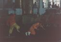 1995_Wushu_Guan_0042.jpg