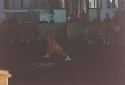 1995_Wushu_Guan_0021.jpg