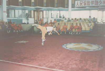 1995_Wushu_Guan_0022.jpg