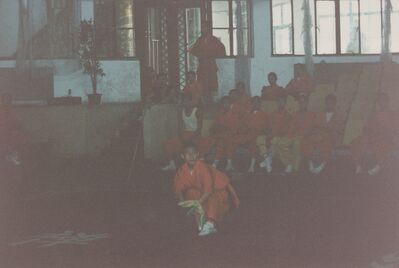 1995_Wushu_Guan_0026.jpg