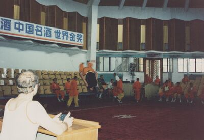 1995_Wushu_Guan_0027.jpg