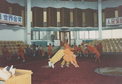 1995_Wushu_Guan_0028.jpg