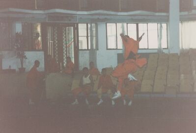 1995_Wushu_Guan_0030.jpg