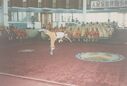 1995_Wushu_Guan_0022.jpg